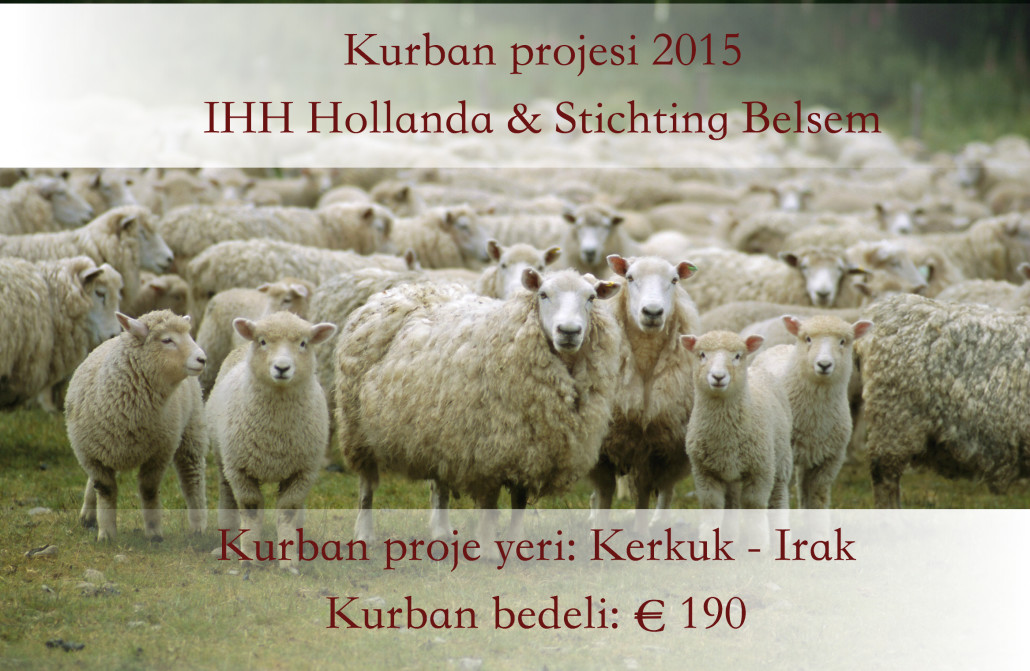 Kurban projesi – kurban project